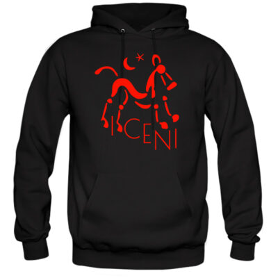 Fluorescent Red iceni Horse Hoodie, Flock Print on Black Hooded sweatshirt. iceniCelts.uk Celtic & Nordic Symbols on T-shirts and hoodies